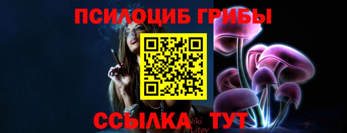 Кашира  Псилоцибиновые грибы ЛСД  Вход с VPN 